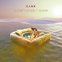 Zank - Comfortably Numb