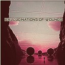 Willie Guinn - Hallucinations Of Wounds