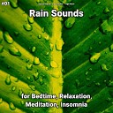 Nature Sounds Rain Sounds Yoga Music - Revitalising Sound of Rain