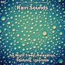 Rain Sounds Relaxing Spa Music Rain Sounds by Angelika… - Rain Sounds for Inner Peace
