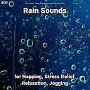 Rain Sounds Nature Sounds Rain Sounds by Alan… - Rain Sounds for Inner Peace