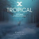 Cacti - Tropical Storm Remix