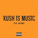 JR William Kensoo feat Artemis - Kush Is Music