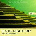 Zhang Yong Ensemble - Healing Chinese Harp Spa Meditation Vol 1