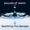 Calming Water Consort - Rhythms of Conga Waterfall