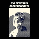 Eastern Condors - When the String Breaks