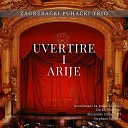 Zagreba ki puha ki trio - Die Zauberfl te K 620 Act II Scene 4 Ach ich f hls es ist verschwunden…