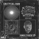 Critycal Dub - Nuff Talkin