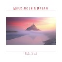 Paden Small - Walking in a dream