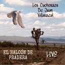 Los Cachorros De Juan Villarreal - El Halc n de Pradera Live