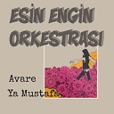 Esin Engin Orkestras - Avare