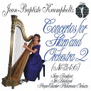Jana Bou kov Prague Chamber Philharmonic… - Concerto in F Major for Harp and Orchestra No 6 Op 9 I Allegro…