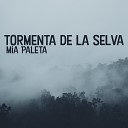 Mia Paleta - Tormenta del bosque