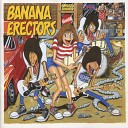 Banana Erectors - Fun at the Beach