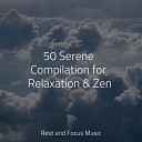 Serenity Spa Music Relaxation Massage Therapy Music Spa Music… - Shooting Stars