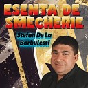 Stefan De La Barbulesti - Esenta de smecherie