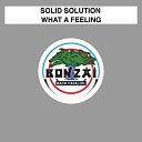 Solid Solution - What A Feeling Radio Edit