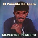 Silvestre Peguero - Soy Tu Enamorado