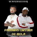 MC Poneis MANO DJ - Passinho Cintura de Mola