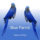Falcon of Prey - Very chatty