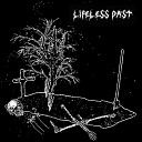 Lifeless Past - Shimmer