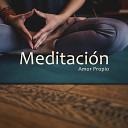 Relajante Academia de M sica Zen - Musicoterapia y Meditaci n Profunda