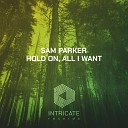 Sam Parker - Hold On Original Mix