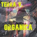 Terra V - Organica Extended Mix