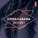 David Grey Phunk Investigation - Copacabana Mirelle Noveron Flove Remix