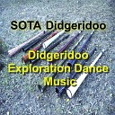 SOTA Didgeridoo - Understanding Humans