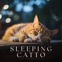 Relaxing Cat Music - Room s Ode to Simplicity