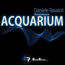 Daniele Ravaioli - Acquarium Electro House Vs Radio Edit