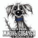 Андрей Оршуляк - Герои романа