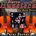 Beto Perez y Su Sierra Huasteca - El Solterito