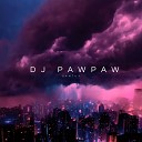 DJ PAW PAW - ELECTRO HOUSE REMIX