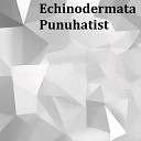 Pipikslav - Echinodermata Punuhatist