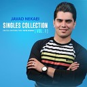 Javad Nekaei - Daesh