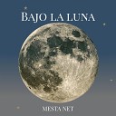 MESTA NET - Bajo la Luna Slowed Remix