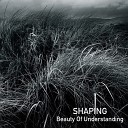Shaping - Beauty Of Understanding