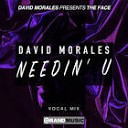David Morales - Needin You