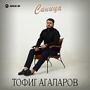 Тофиг Агаларов - Синица