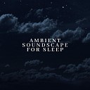 Ambient Sounds Collection - Peaceful Night