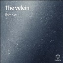 Boy Kai - The velein