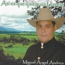 Miguel Angel Andrea - As Es Que Quiere Un Llanero