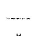IS 15 - The Meaning of Life