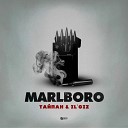 Тайпан IL GIZ - Marlboro