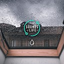 Sounds of Life - Rain on Skylights Pt 23
