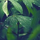 Mother Nature Sound FX - Wind And Rain
