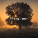 Wellness Sounds Relaxation Paradise - Calming Atmosphere for Meditation