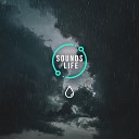 Sounds Of Life - Rain Heavy and Loud Thunder Pt 9